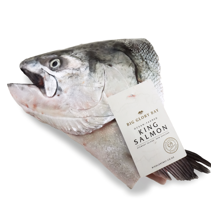 Frozen NZ Big Glory Bay King Salmon Head with Collar 800-900g (pc)*