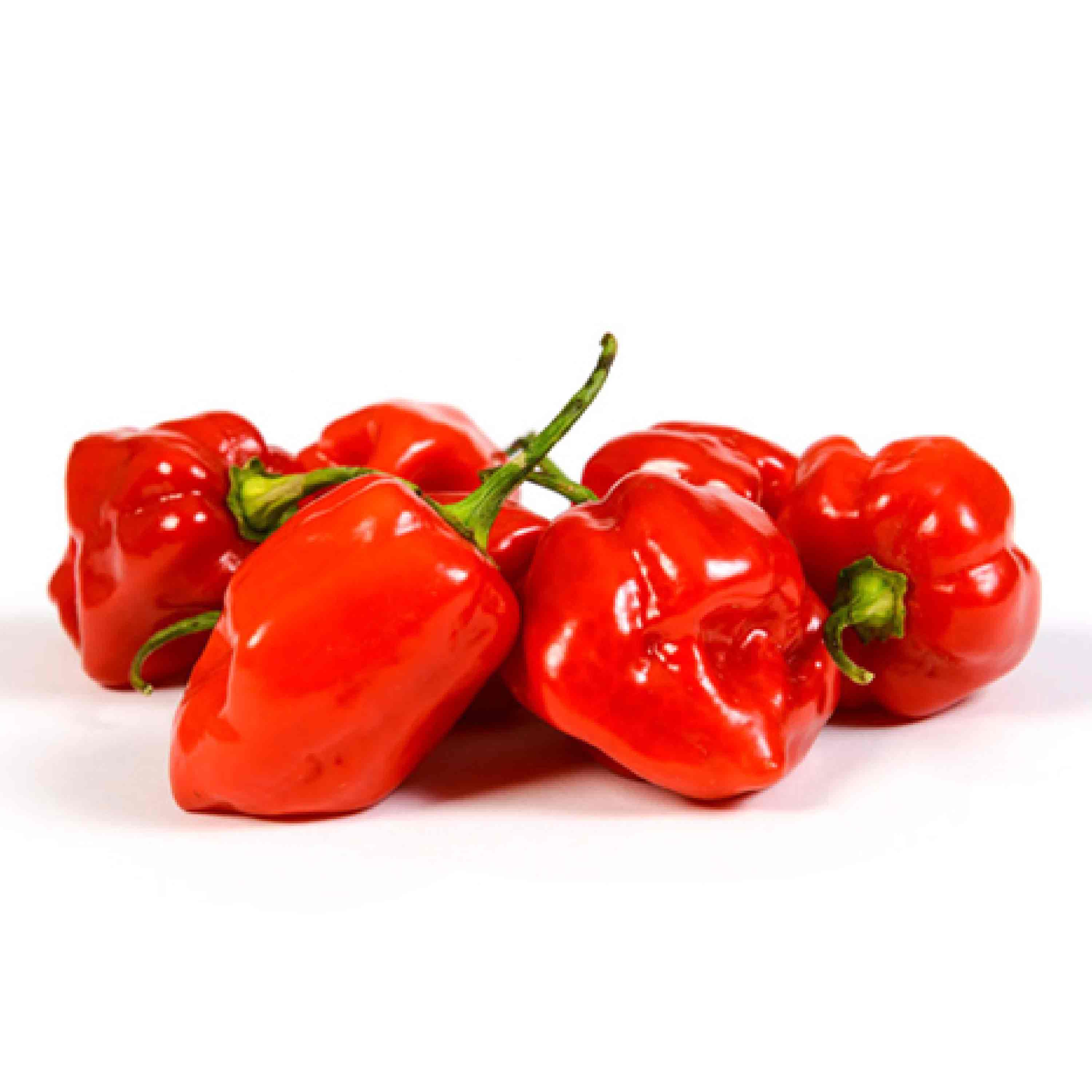 Habanero Chillies 500g - Aus*