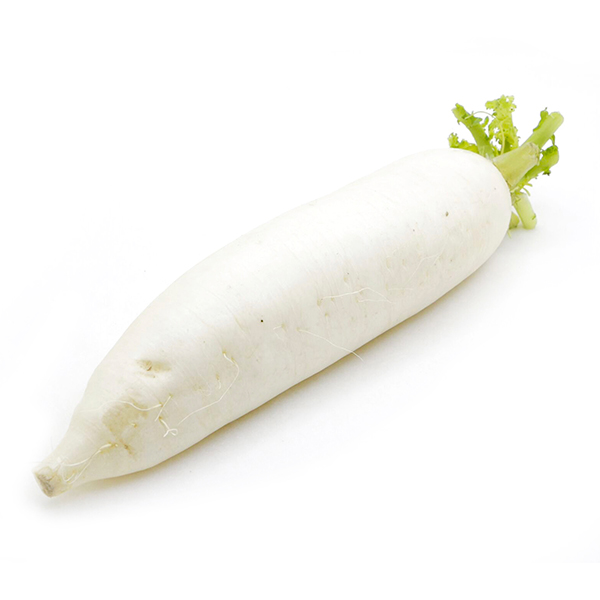 Italian White Radish