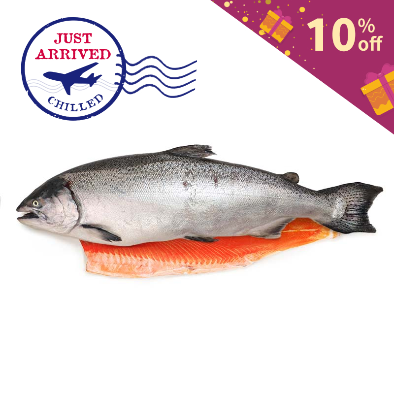 NZ Big Glory Bay Half King Salmon (Gilled and Gutted) 