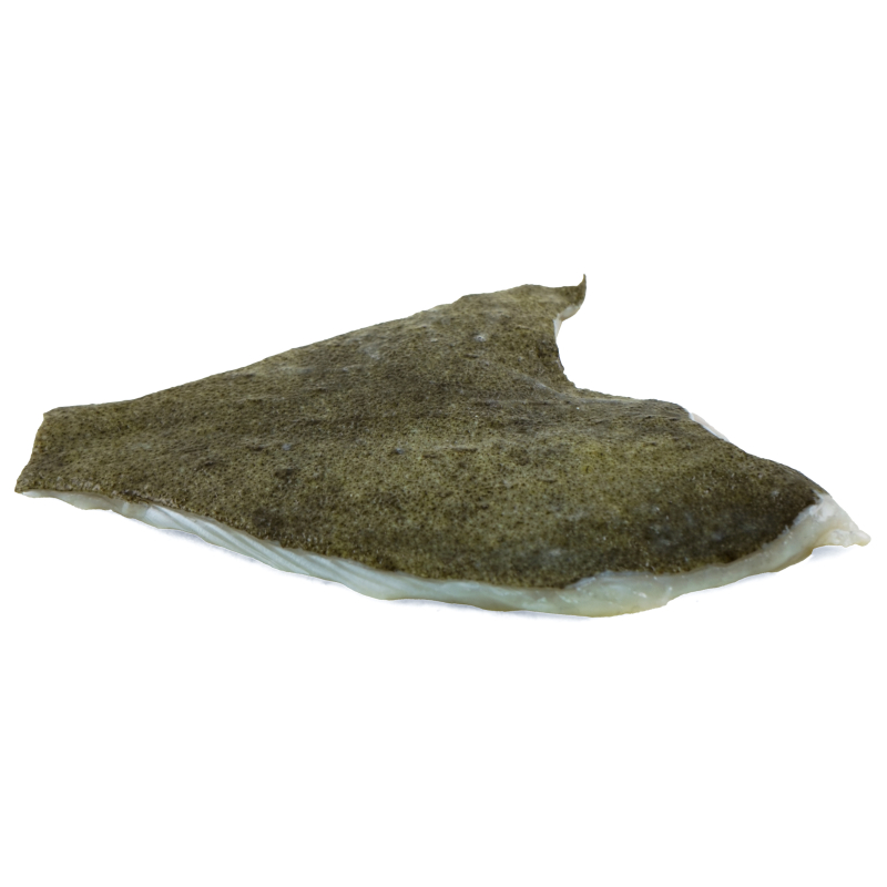 急凍西班牙多寶魚柳(Turbot)