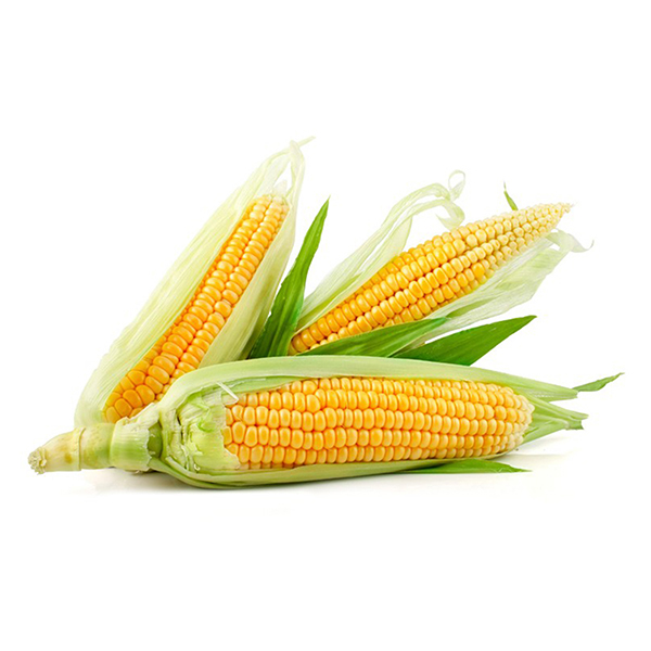 Sweet Corn 1kg - AUS*