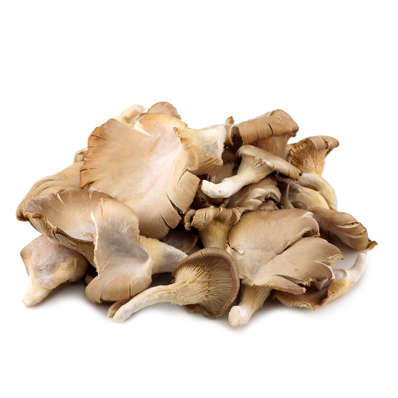 Oyster Mix Mushroom 300g - Netherlands*