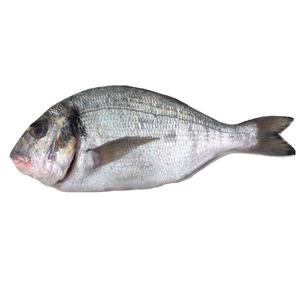 Frozen Wild Caught Dorade Whole G&G - Greece