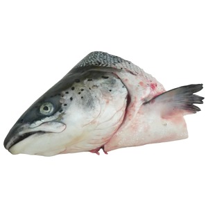急凍愛爾蘭OSO有機養殖三文魚頭700-800克(件)*