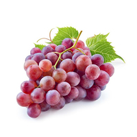 Red Grapes 500g - AUS*
