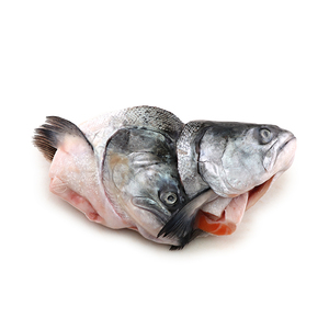 Frozen NZ Big Glory Bay King Salmon Head (800-1000g) 2pcs*