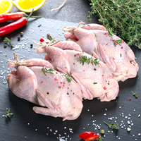 Game Meat