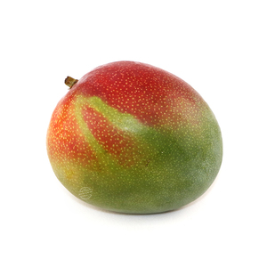 Peru Organic Kent Mango 400-500g*