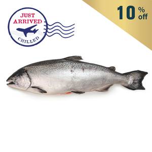 紐西蘭Big Glory Bay帝王三文魚 (已去鰓及內臟)