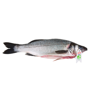 Frozen Greece Organic Farmed Seabass (Gilled and Gutted) 6/800g*