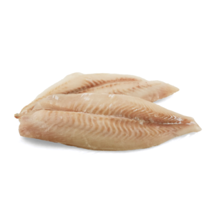 Frozen NZ Wild Caught Tarakihi Fillet
