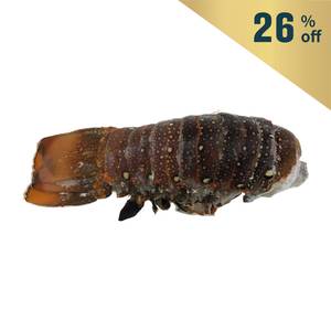 急凍莫桑比克龍蝦尾7-8安士*