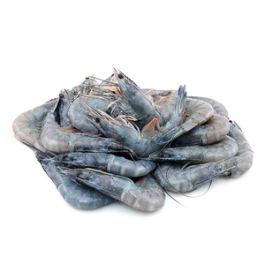 Frozen New Caledonia Cristal Blue Prawns 1kg*
