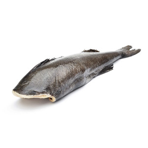 Frozen US Wild Caught Black Cod 5-7LB