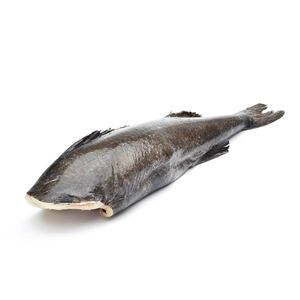 急凍美國Seremoni Grade野生捕獲原條黑鱈魚5-7磅