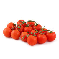 澳洲藤熟蕃茄 - 500克*