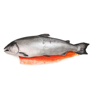 急凍紐西蘭Big Glory Bay半條帝王三文魚