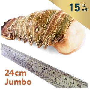 Frozen Brazil Wild Caught Lobster Tail 12-14oz*