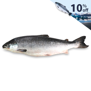 Frozen Norwegian Half Salmon