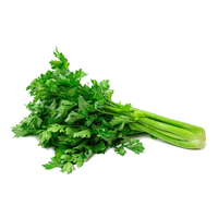 Celery - AUS 