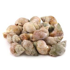 Frozen Jade Whelk 50/70 1kg - Canada*