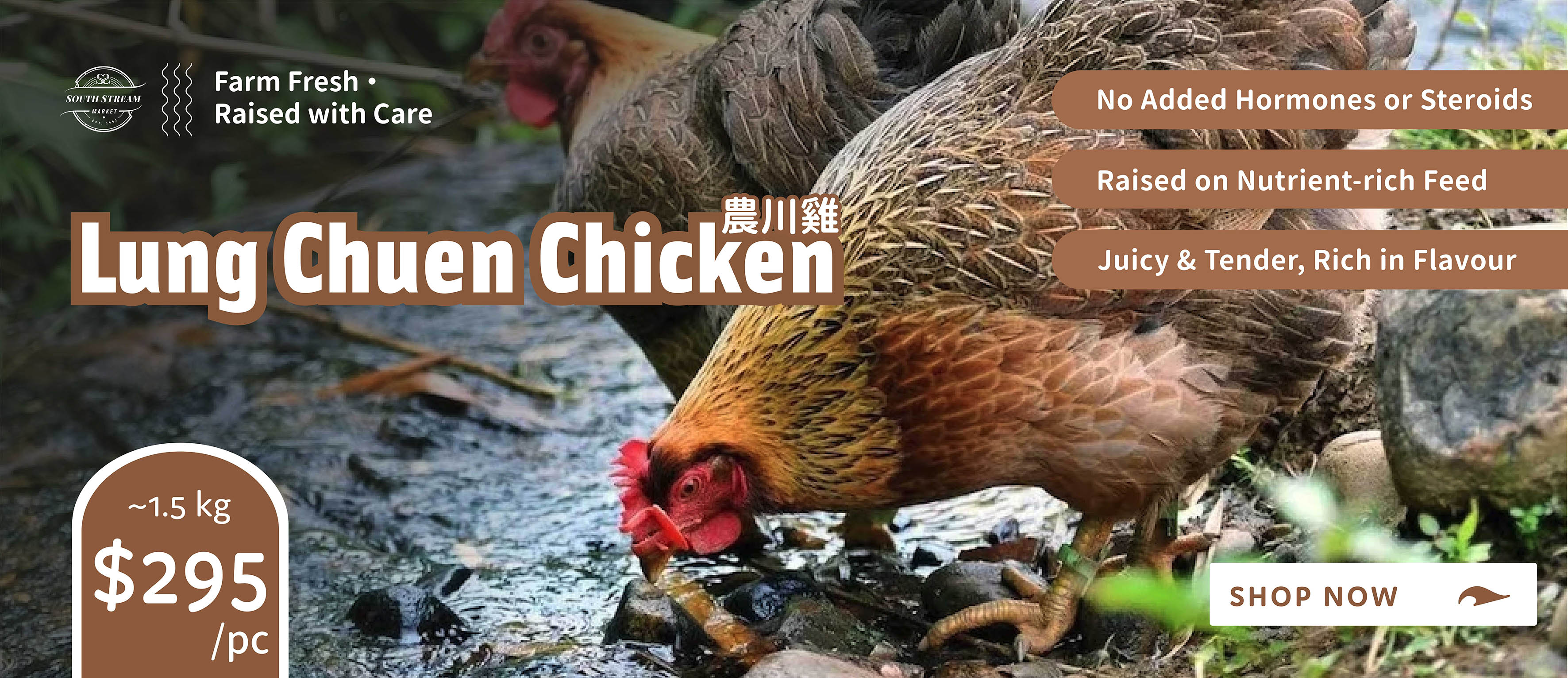 Lung Chuen Chicken