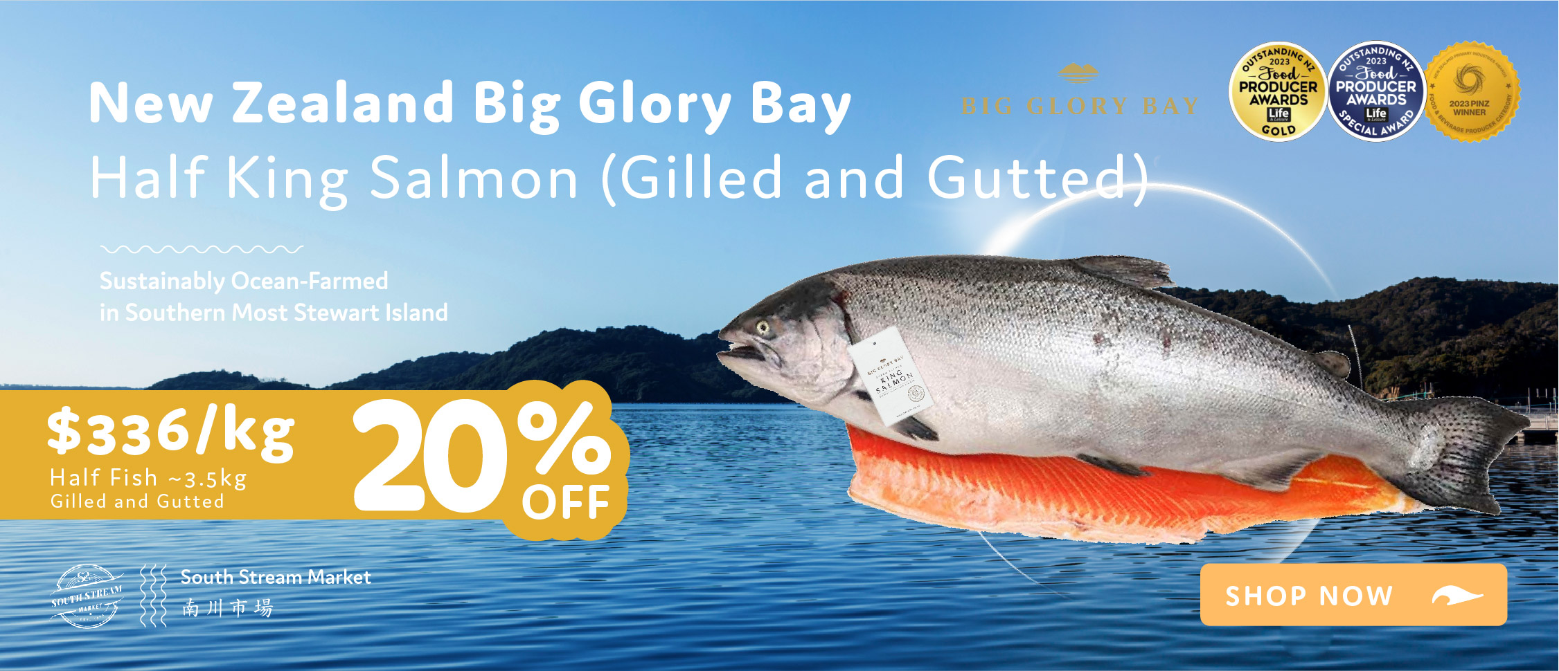 King Salmon