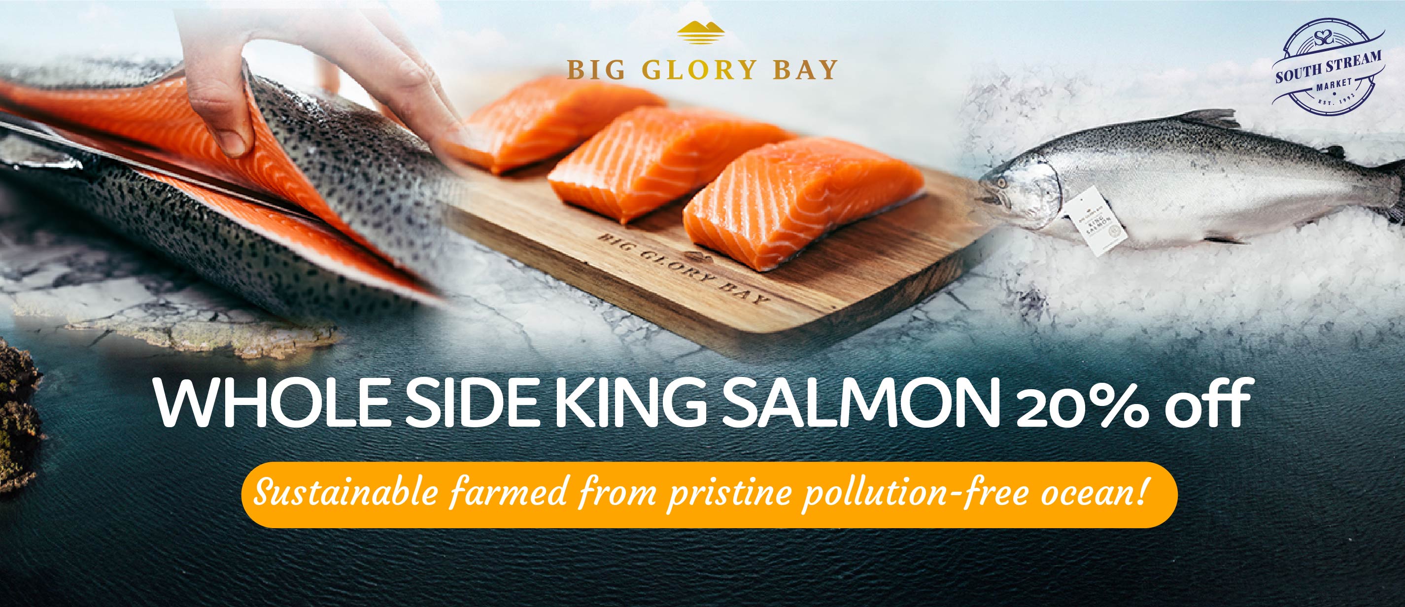 Salmon